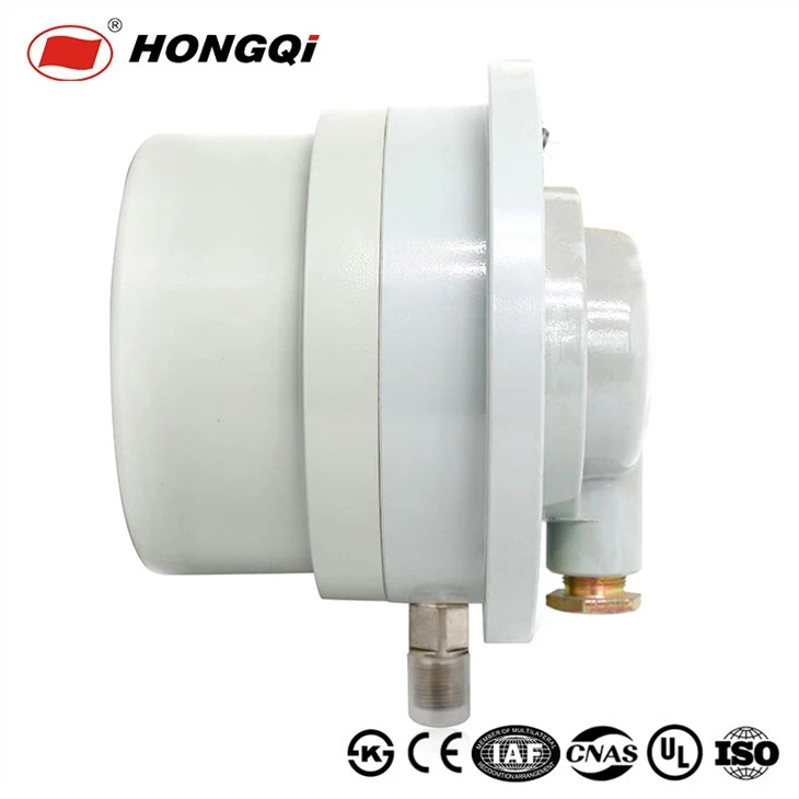 Explosion-proof pressure gauge